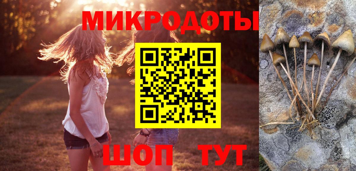 LSD-25 Павлово